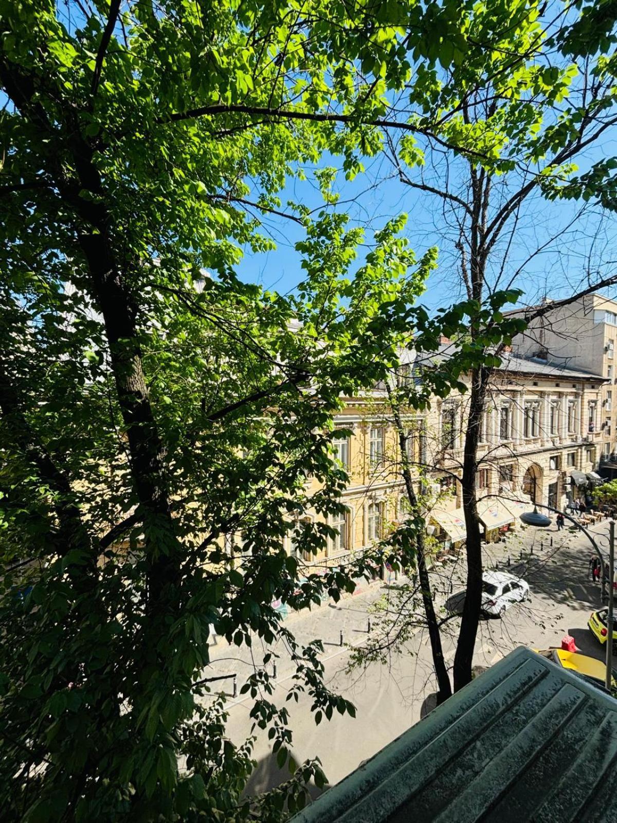Iancu Apartments Bükreş Dış mekan fotoğraf